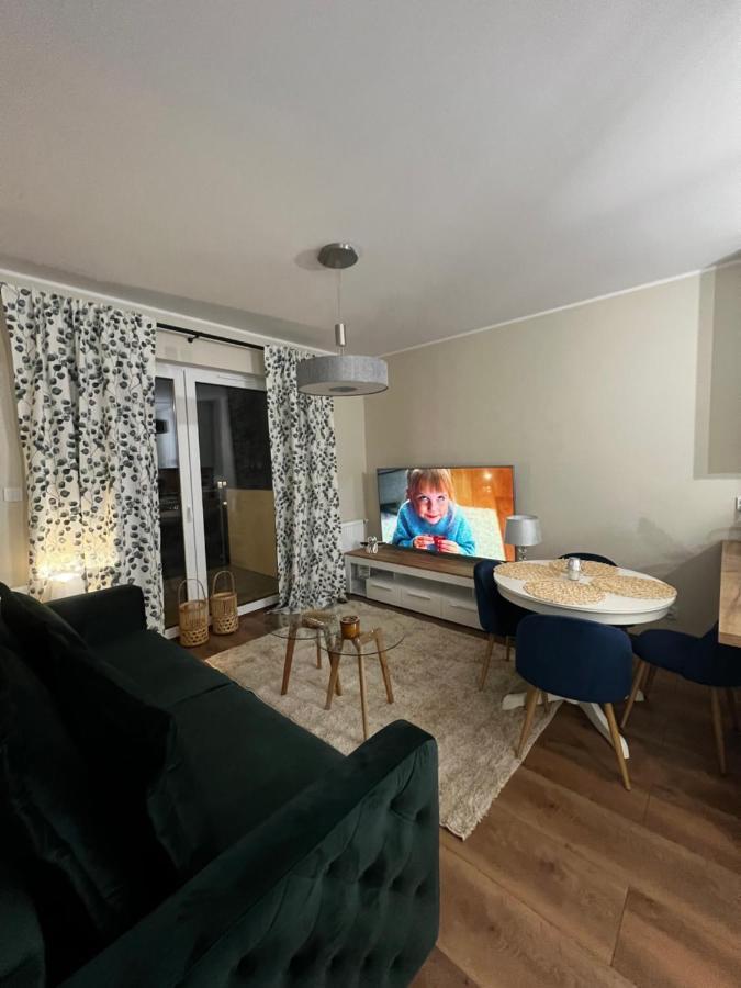 Apartament Sadowa 87 Garaz Gratis ! 埃尔布隆格 外观 照片